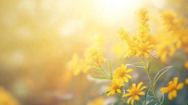 View of Solidago altissima the Canada goldenrod or late goldenrod flowers on the meadow in summer Blurred background Selective focus State flower of the US states of Kentucky and Nebra : Generative AI