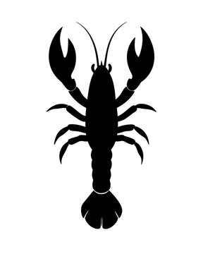 recommend clip art: vector lobster sea fish silhouette isolated on white background 