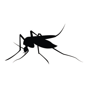 recommend clip art: mosquito icon vektor