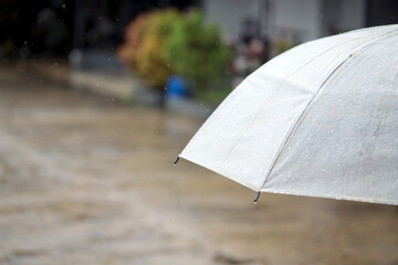 Close Up of Umbrella are wet in Rainy Season