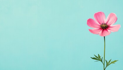 Naklejka premium Single pink flower against a soft blue background, highlighting nature's beauty and simplicity.