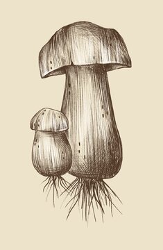 Naklejki Mushroom