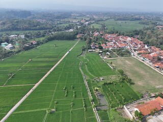 aerial view of a village in the countryside. rice fields around the village.