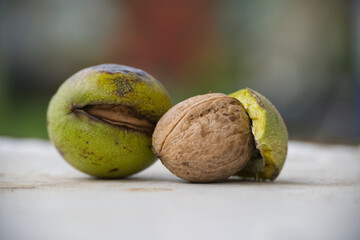 Closeup of fresh walnut and seeds on a textured surface in natural light for autumn harvest concept