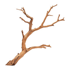 A closeup of rough bark on a sturdy tree branch, showcasing natures intricate textures against a clean backdrop.