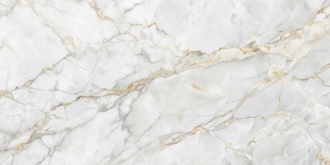 Fototapeta premium A pristine white marble surface with delicate golden veins, showcasing the natural beauty of this timeless stone.