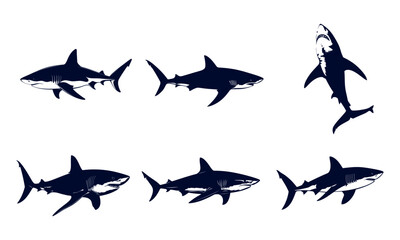 Collection of Stylized Shark Illustrations in Vector Format