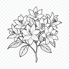 Floral Bunch with Azalea Line Art Vector Illustration Featuring Elegant Botanical Design