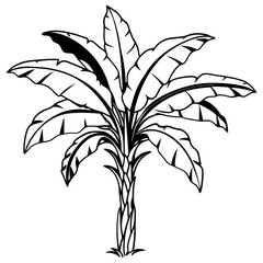 Banana Tree Silhouette Vector Icon. Vector Illustration