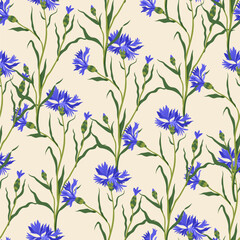 Fototapeta premium Bright Blue Cornflower Floral Pattern