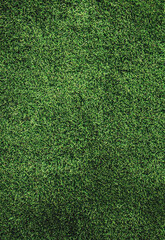 Obraz premium Fresh green grass as background, top view bright yellow ash leaves against lying of green gas, go green, green grass lawn, autumn lawn close-up lit by the sun, grass background close-up, autumn yellow