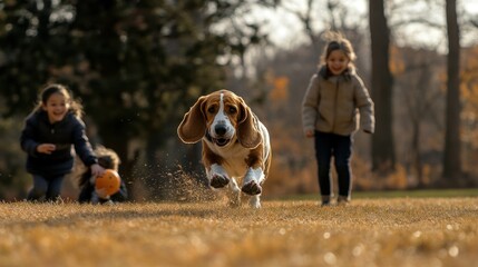 A playful scene of children running and a dog chasing a ball in a grassy field.