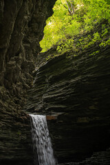 Outside Nature Trail Cliffs With Trees and Waterfall