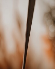 A blurry image of a brown and orange background with a dark line.