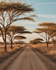 Fototapeta premium A dirt road flanked by acacia trees in a sunlit savanna landscape during the golden hour.