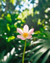 Fototapeta premium A lush green jungle with a pink flower in the foreground.