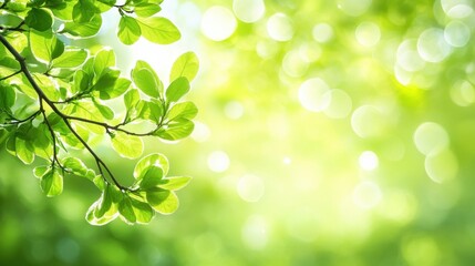 Obraz premium Lush green plant branch with a soft, dreamy bokeh effect in the background, capturing the peaceful essence of nature and renewal.