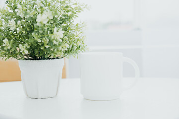 A cozy morning with a white mug and a potted plant on a bright kitchen table