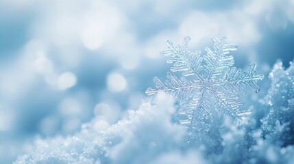 Close-up of snowflakes in winter: detailed macro image of snow crystals, perfect for winter holiday backgrounds