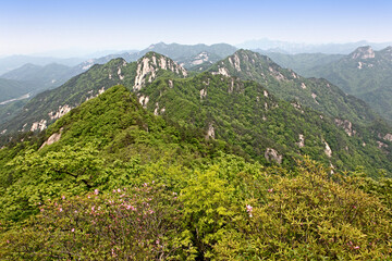 Early spring green view of Joryeongsan Mt near Goesan-gun, Korea