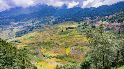 Landscape with green and yellow rice terraced fields, town in the background and cloudy sky in Yunnan, South China