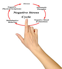 Obraz premium Components of Negative Stress Cycle