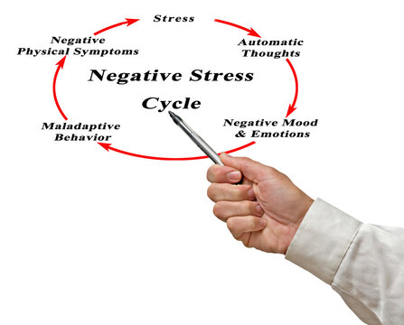 Components of Negative Stress Cycle