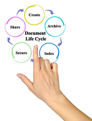 Components of Document Life Cycle