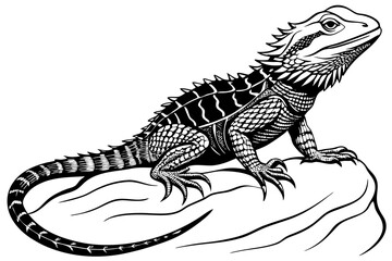  beautiful water dragon vector art illustration