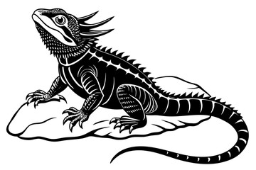  beautiful water dragon vector art illustration