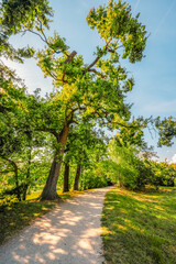 Lednice Chateau with beautiful gardens and parks. Lednice Valtice Landscape, South Moravian region. UNESCO World Heritage Site.