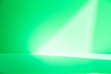 Wall interior background, studio and backdrops show products. with leaf shadow from window color green and white. background for text insertion and presentation of product	