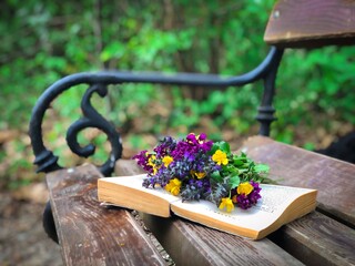 flowers on a bench