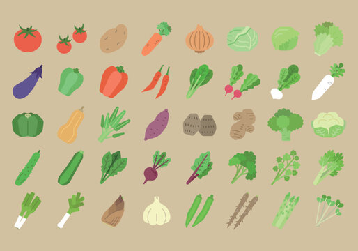 野菜のイラストセット