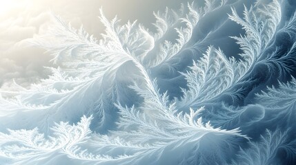 Mesmerizing Frosty Patterns Dancing in the Winter Chill