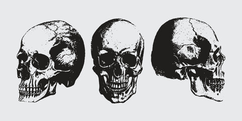 Fototapeta premium Human skull with halftone stipple effect, for grunge punk y2k collage design. Pop art style