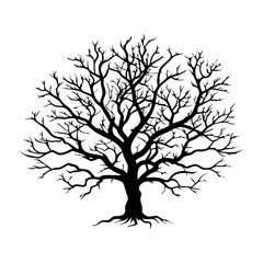 Obraz premium bitterwood--tree-silhouette