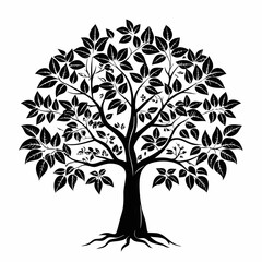 Obraz premium blue-mahoe--tree-silhouette