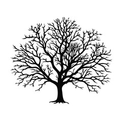 boxelder-tree-silhouette