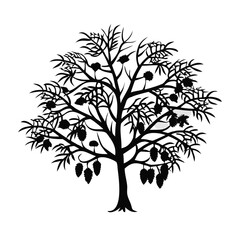 Obraz premium candlenut-tree-silhouette