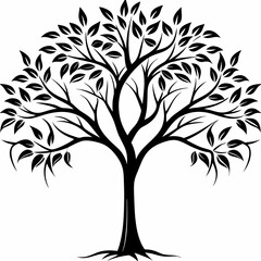 Obraz premium cocobolo-tree-silhouette