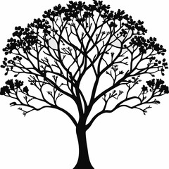 Obraz premium crape-myrtle-tree-silhouette