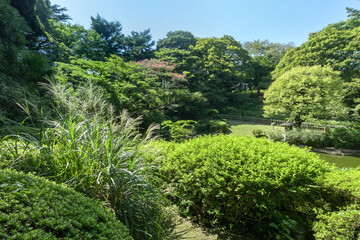 東京都港区白金台の東京都庭園美術館