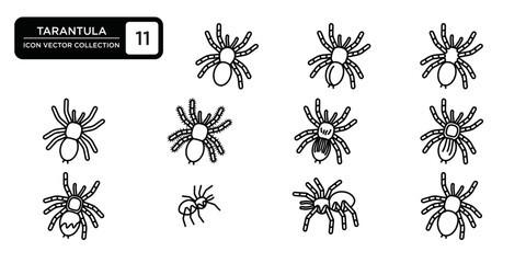 tarantula icon collection, editable and resizable vector icon templates.