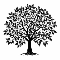 pecan-tree-silhouette