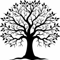 Obraz premium sycamore-tree-silhouette