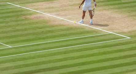 Tennis player preparing to serve on a prestine grass court. vt