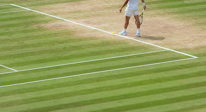 Tennis player preparing to serve on a prestine grass court. vt