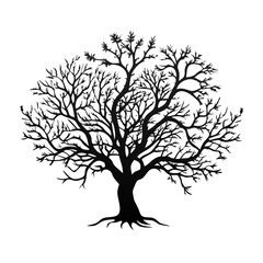 Obraz premium chaya-tree-silhouette