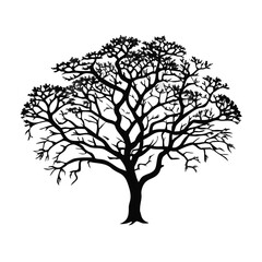 Obraz premium chicle-tree-silhouette